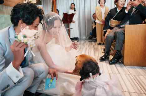【愛犬と一緒】こだわりアイテムでおもてなしWの挙式画像