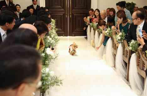 やりたいことの詰まった結婚式！の挙式画像