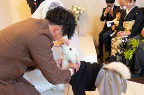 【100名Party】誰も見たことのない様な結婚式の準備・打ち合わせ画像