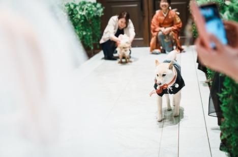 大切な家族　友人　愛犬　皆様と過ごす一日をの挙式画像