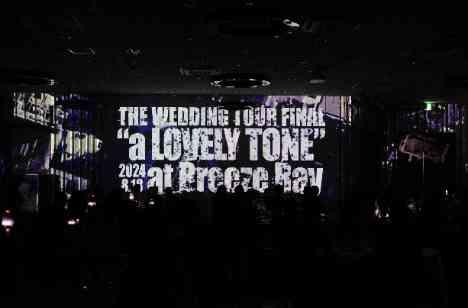 THE WEDDING TOUR FINALの演出画像
