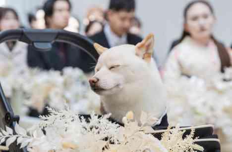 WeddingFestival2025～あなたへ～の準備・打ち合わせ画像