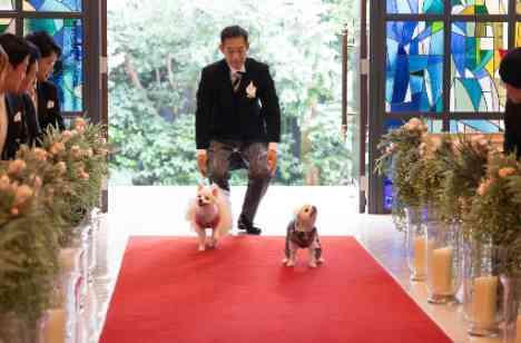 ～愛と感謝のパンWedding　Party～の挙式画像