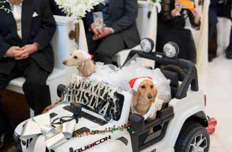 大切な愛犬と一緒に迎える最高の結婚式の挙式画像