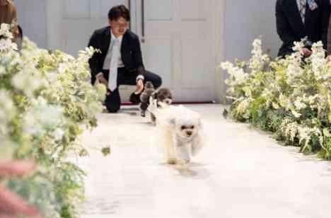 みんなと笑い合えるWedding Partyの挙式画像