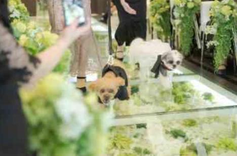 大切な家族・仲間と過ごすアットホームＷＥＤＤＩＮＧの挙式画像