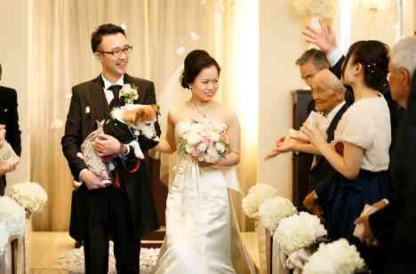 ～愛犬あきくん＆音楽Wedding～の準備・打ち合わせ画像