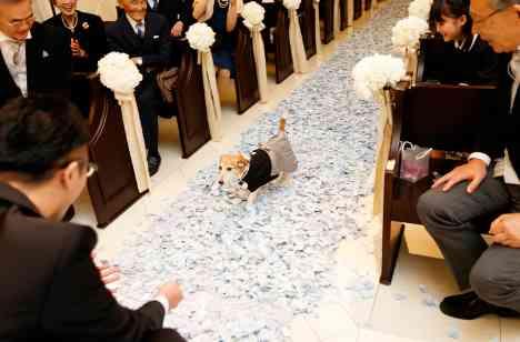 ～愛犬あきくん＆音楽Wedding～の挙式画像