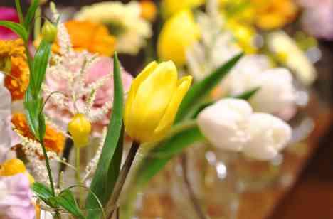 spring and gratitudeの挙式画像