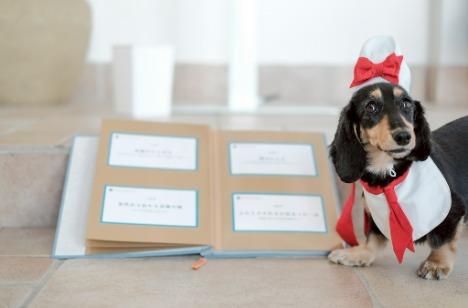 愛犬と叶えた、世界にひとつの結婚式！の準備・打ち合わせ画像