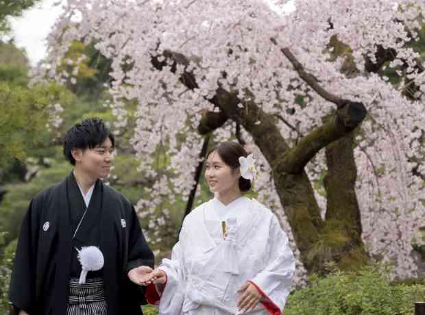 満開の桜に包まれて誓う春爛漫ウエディングの挙式実例画像