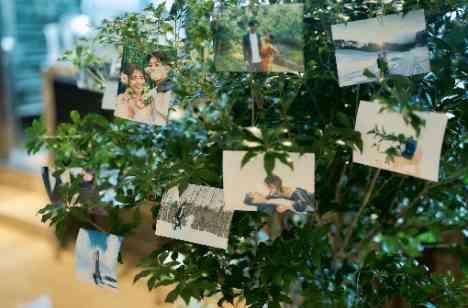 みんなと楽しくほっこりする結婚式を♡の準備・打ち合わせ画像