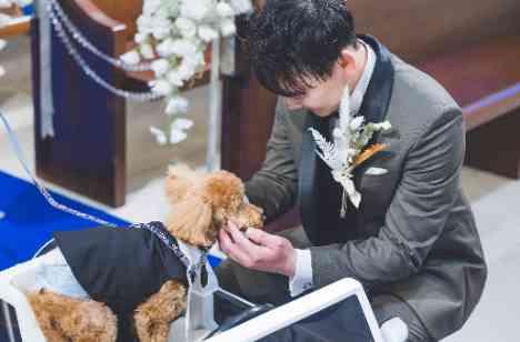 【ペット婚】挙式~披露宴まで愛犬と過ごせる結婚式の挙式画像