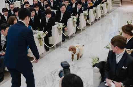 憧れを叶えたこだわりのWEDDINGの挙式画像