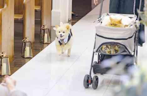 ワンちゃん猫ちゃんも家族として一緒に結婚式を◎の挙式画像