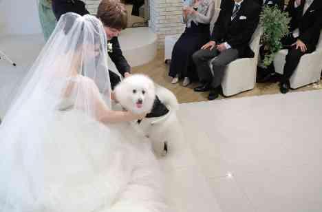 ゲストと愛犬と過ごす、穏やかで優しい結婚式の挙式画像