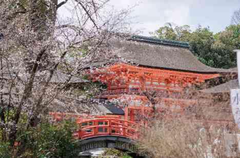 aroha -アイ- in 鮒鶴京都鴨川リゾートの挙式画像