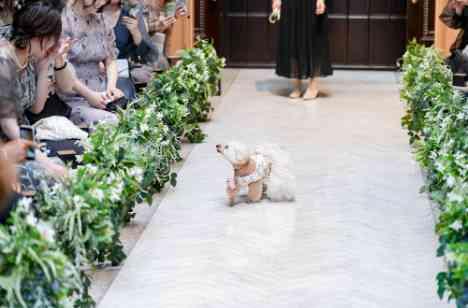 愛犬との結婚式・みんなでワイワイ・一緒に創る結婚式の挙式画像