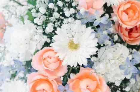 私たちらしく、あたたかみある理想の結婚式の披露宴画像