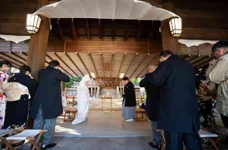 伝統と緑が彩る神前式と、光と木の温もりの披露宴の準備・打ち合わせ画像