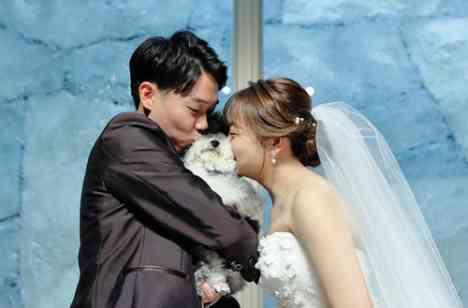 愛犬も一緒に楽しむみんなが主役の結婚式の準備・打ち合わせ画像