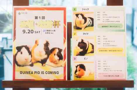 ～推し活！？ハッピーウェディング！！～の披露宴画像