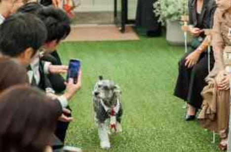 【愛犬が届けるサプライズ】二人らしいガーデン挙式の挙式画像