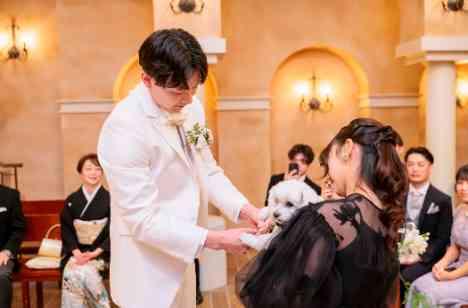 笑顔と歓声に包まれた心が弾むご結婚式の準備・打ち合わせ画像