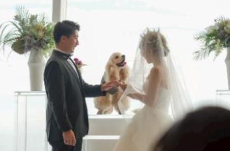 愛犬と共にとにかく笑いをゲストに届ける一日の挙式画像