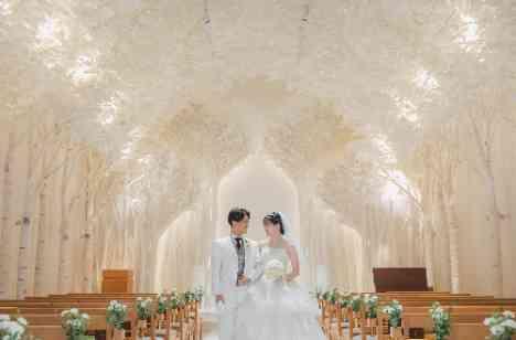 光と祝福が未来を照らす、家族のはじまりの準備・打ち合わせ画像