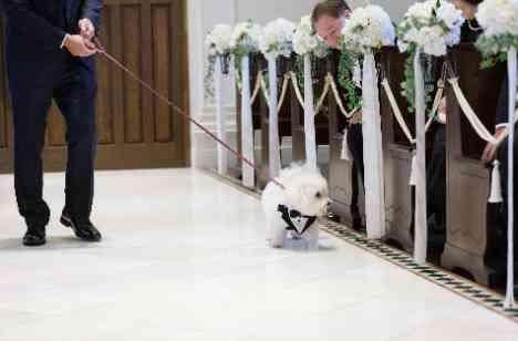 穏やかで癒される空間になったゆったりWeddingの挙式画像