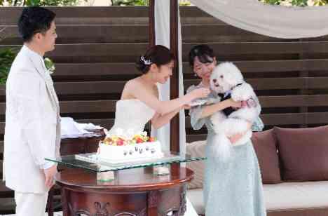 穏やかで癒される空間になったゆったりWeddingの披露宴画像