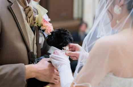 ジブリの世界観に入り込んだ！大好きが詰まった結婚式の挙式画像