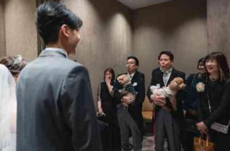 挙式も披露宴もずっと一緒！愛犬と過ごすウエディングの準備・打ち合わせ画像