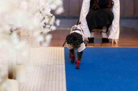 サプライズいっぱいのWedding♡の挙式画像