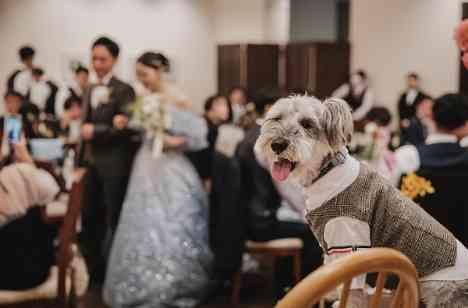 最高のご結婚式は最高の家族で創り上げるの演出画像