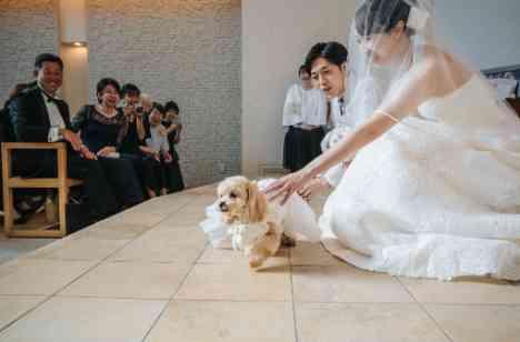 音と笑顔に包まれた、おふたりらしい結婚式の挙式画像