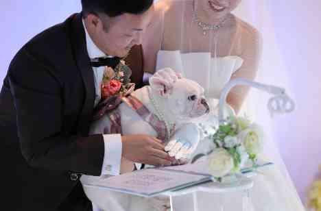 わんこも一緒に!アットホームな家族婚の挙式画像
