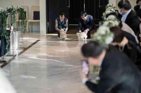 愛犬と迎えた 笑顔溢れる感動の結婚式の挙式画像