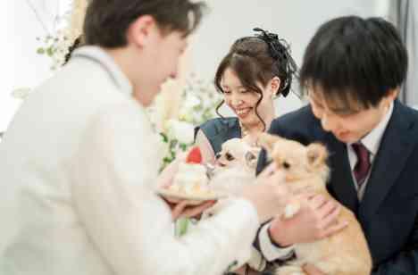愛犬と迎えた 笑顔溢れる感動の結婚式の披露宴画像