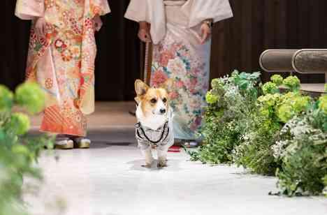 笑顔と涙があふれるWEDDING PARTYの挙式画像