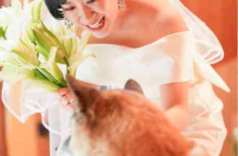 大好きな家族・愛犬と過ごす大切な時間の準備・打ち合わせ画像
