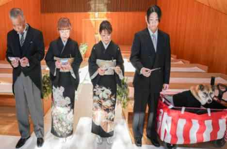 大好きな家族・愛犬と過ごす大切な時間の演出画像