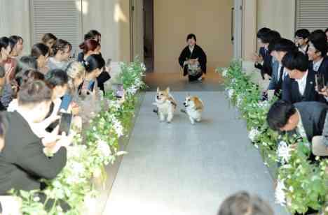 準備期間二か月！マタニティほっこりWeddingの挙式画像