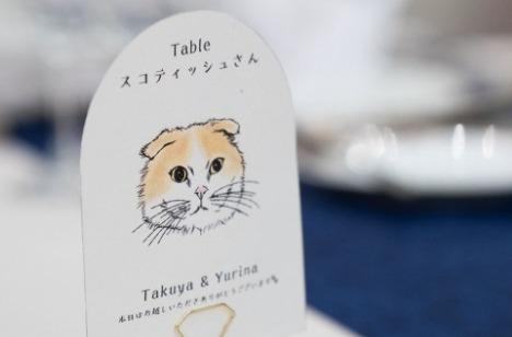 大好きなねこをモチーフにこだわりの装飾パーティの準備・打ち合わせ画像