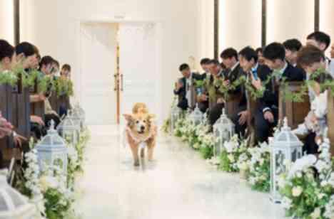 愛犬も大切な家族一緒に結婚式を楽しむの挙式画像