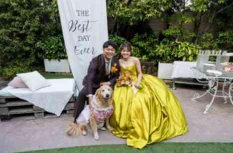 愛犬も大切な家族一緒に結婚式を楽しむの演出画像