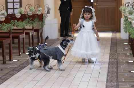 愛犬と愛娘が彩る心温まる結婚式の一日の準備・打ち合わせ画像