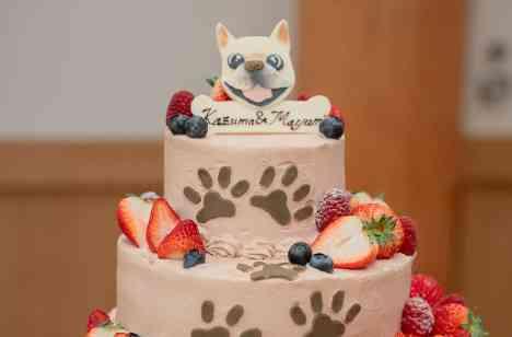 挙式もケーキも愛犬尽くし!家族で過ごせた1日の披露宴画像