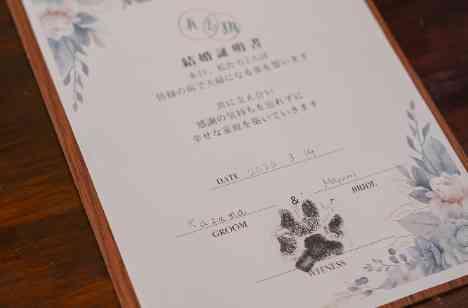 挙式もケーキも愛犬尽くし!家族で過ごせた1日の演出画像